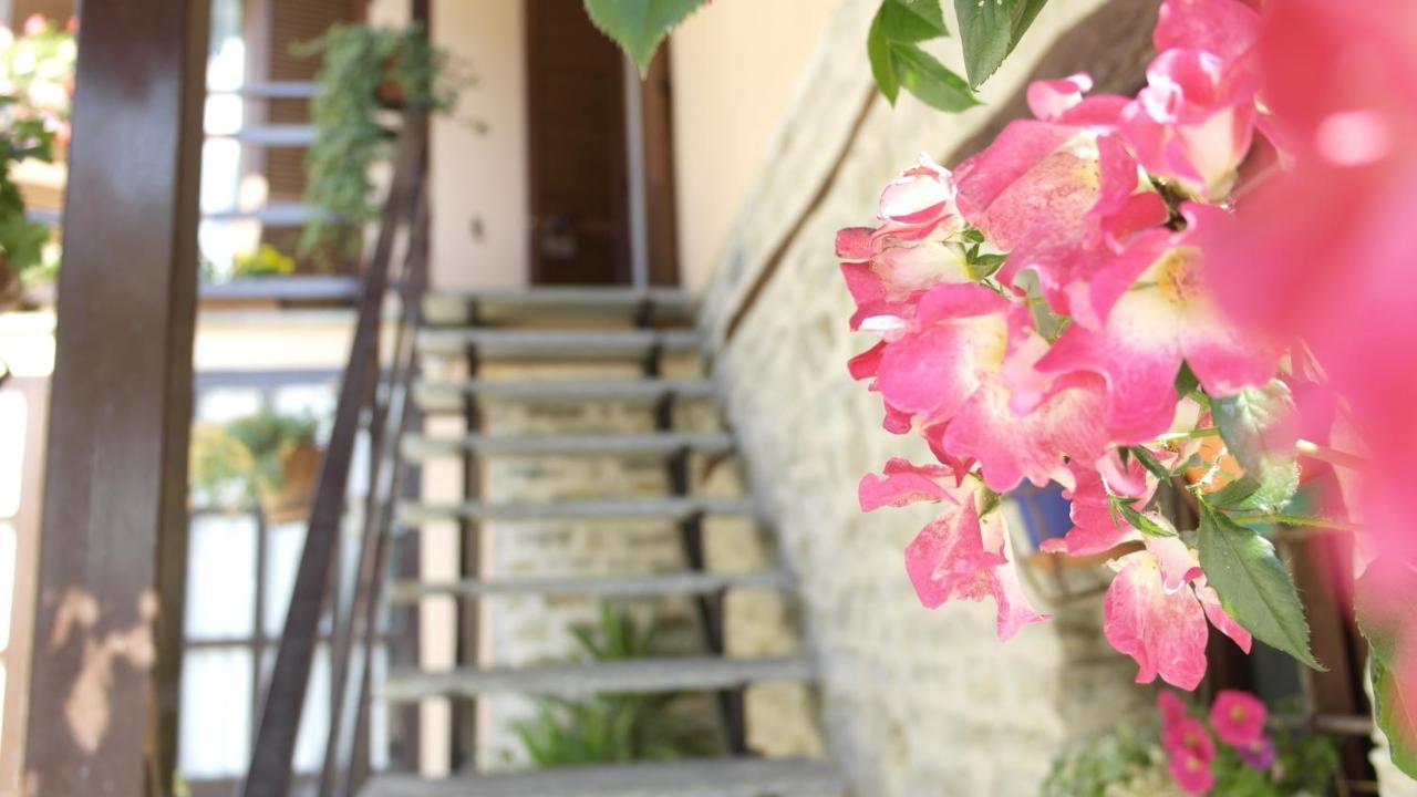 Cit Ni Bed & Breakfast Bosia Ngoại thất bức ảnh