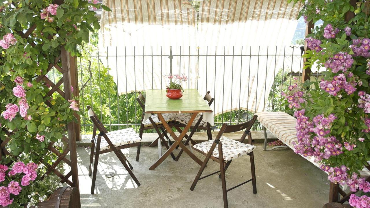 Cit Ni Bed & Breakfast Bosia Ngoại thất bức ảnh